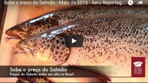 salmão