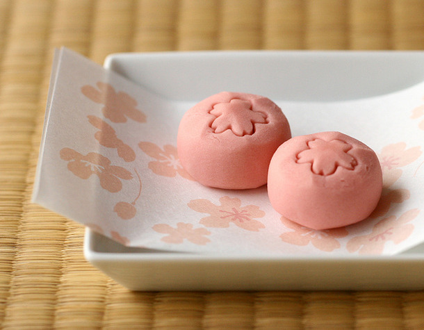 wagashi Namagashi