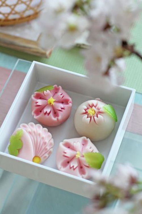 wagashi Namagashi