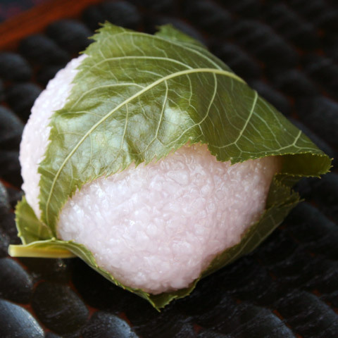 wagashi Namagashi