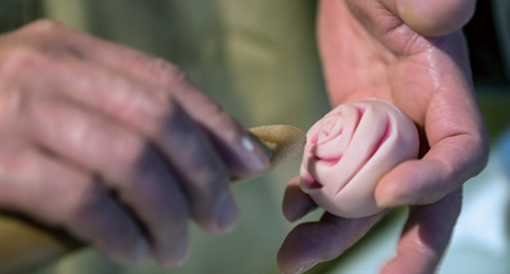 wagashi Namagashi