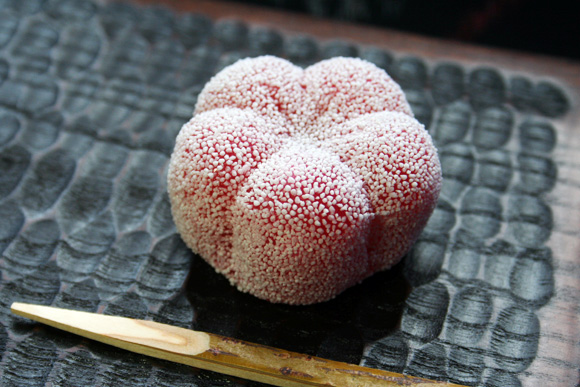 wagashi Namagashi