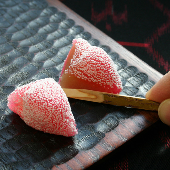 wagashi Namagashi
