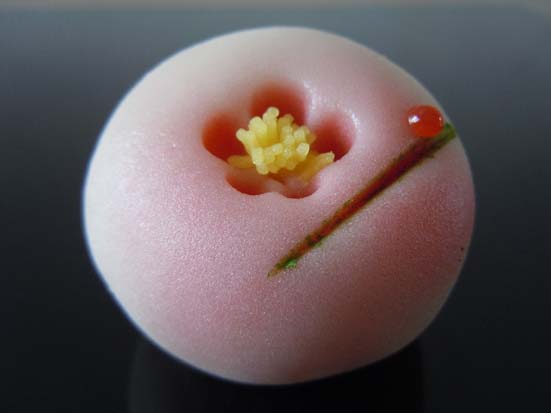 wagashi Namagashi